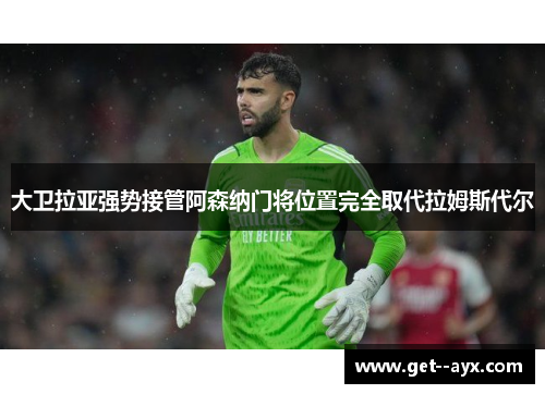 大卫拉亚强势接管阿森纳门将位置完全取代拉姆斯代尔 大卫拉亚强势接管阿森纳门将位置完全取代拉姆斯代尔